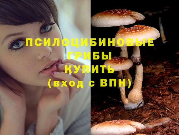 дмт Михайловка