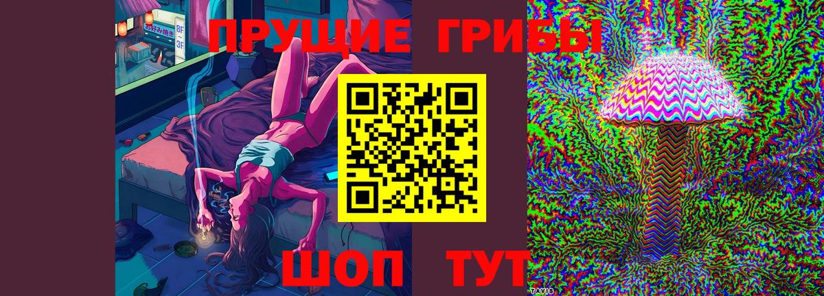 Псилоцибиновые грибы Psilocybe  Вход с VPN  Пенза 