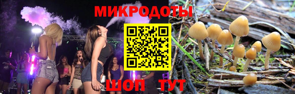 Галлюциногенные грибы мицелий Пенза