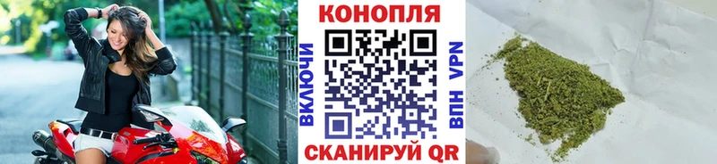 Бошки Шишки ГИДРОПОН  ссылка на мегу маркетплейс  Пенза 